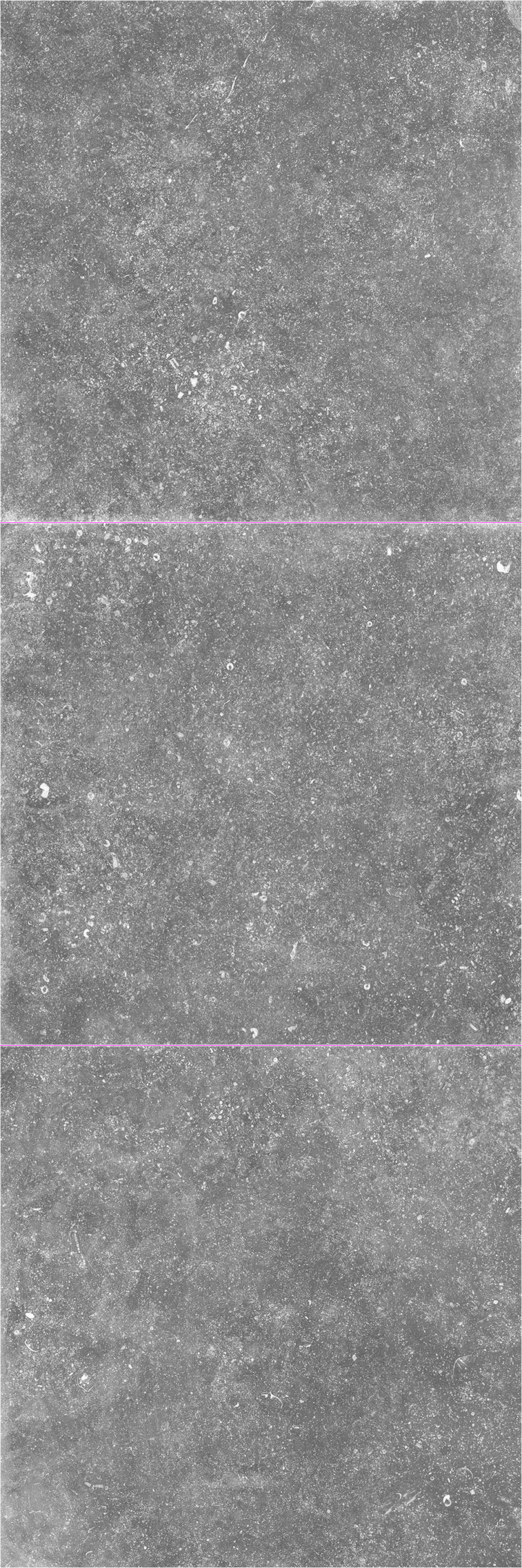 Parigi Gray